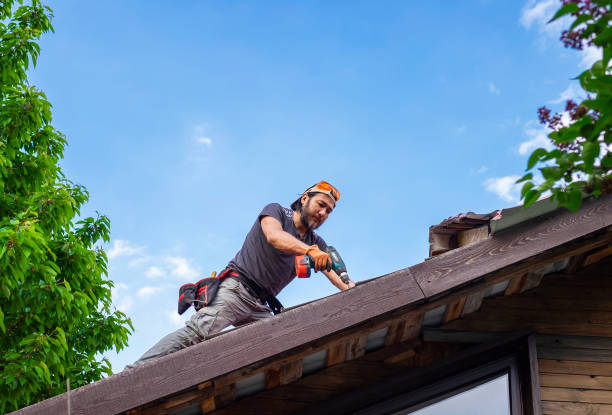 Best Roof Leak Repair  in Sleepy Eye, MN