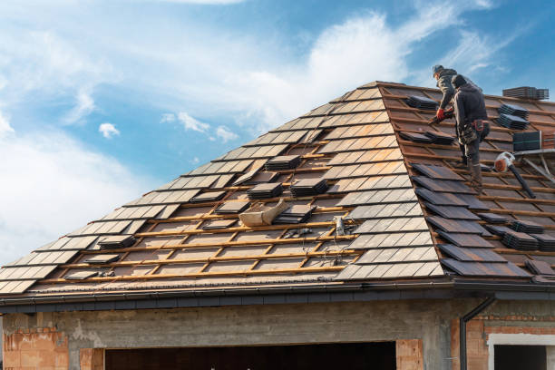 Best Commercial Roofing Services  in Sleepy Eye, MN